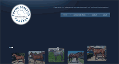 Desktop Screenshot of equineservicessa.co.za